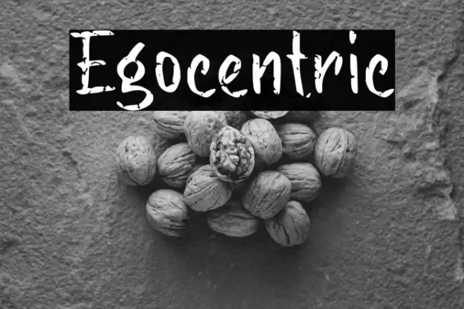 Egocentric Font examples