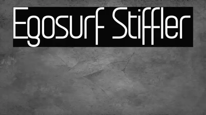 Egosurf Stiffler Example 1