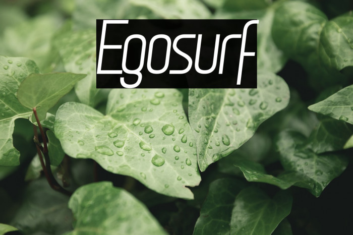 Egosurf Font examples