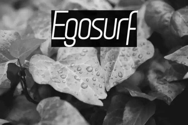 Egosurf Example 1