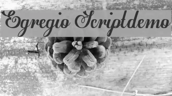 Egregio Script_demo Font examples