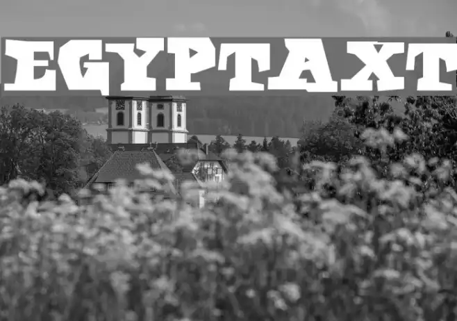 EgyptAxt Example 3