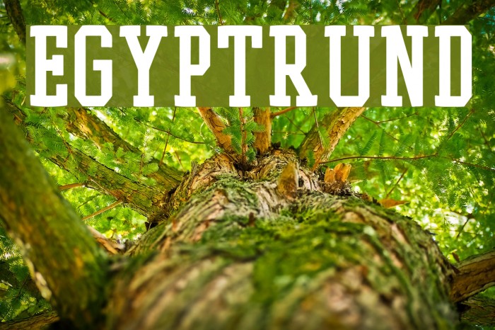 EgyptRund Font examples