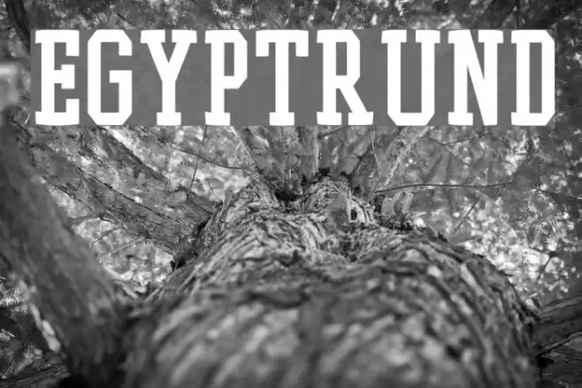 EgyptRund Example 3