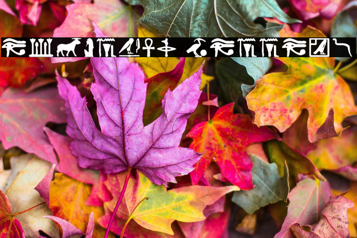 Egyptian Letters Example 2