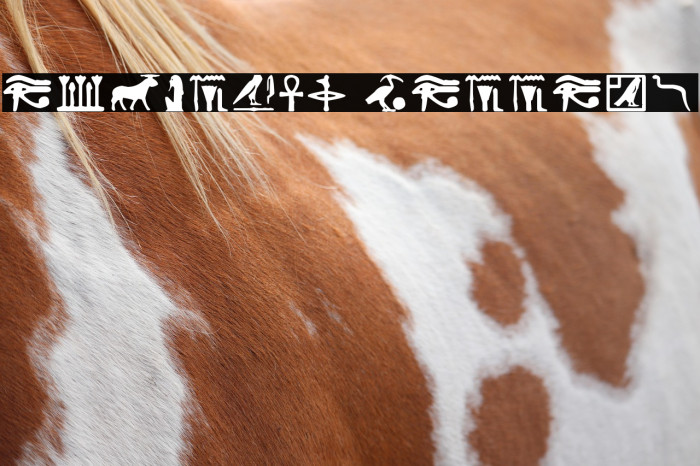 Egyptian Letters Example 3