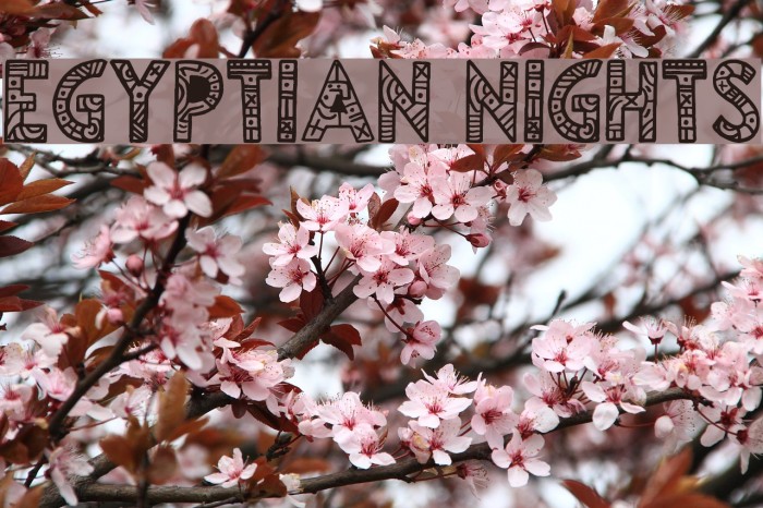 Egyptian Nights Font examples