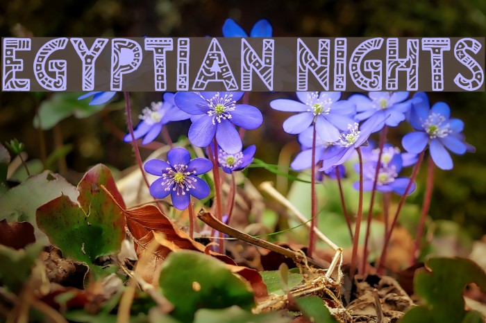Egyptian Nights Font examples
