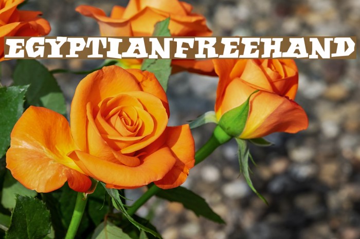 EgyptianFreehand Font examples