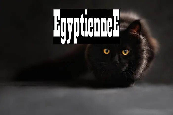 Egyptienne-E Example 2