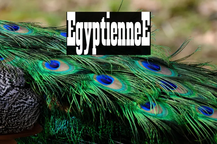 Egyptienne-E Example 3