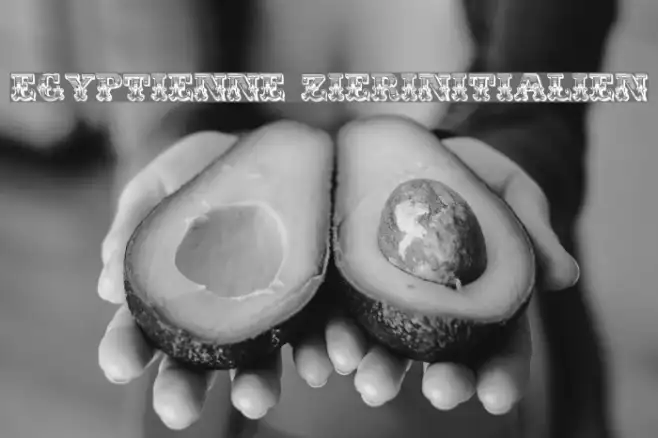 Egyptienne Zierinitialien Example 3