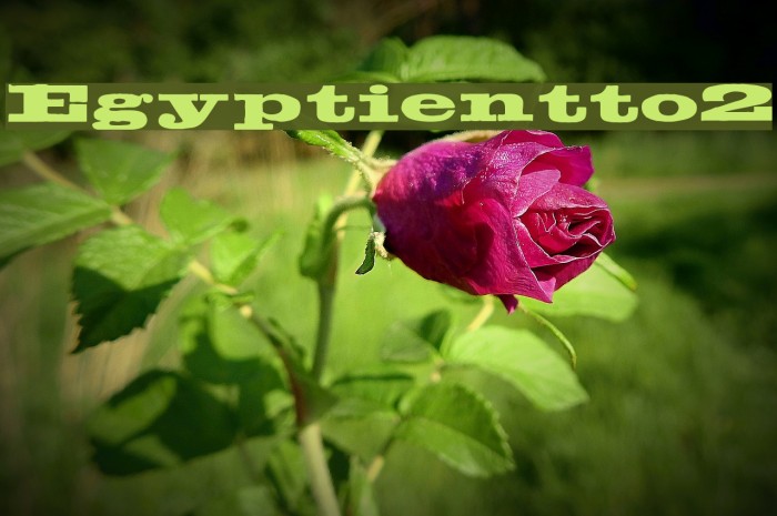 Egyptientto2 Font examples