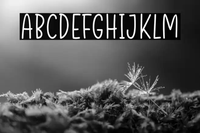 egg party Font examples