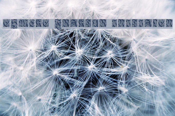 Ehmcke-Fraktur Initialen Example 1