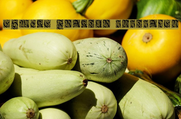 Ehmcke-Fraktur Initialen Example 2