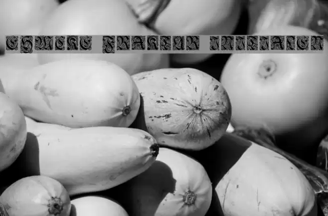 Ehmcke-Fraktur Initialen Font examples