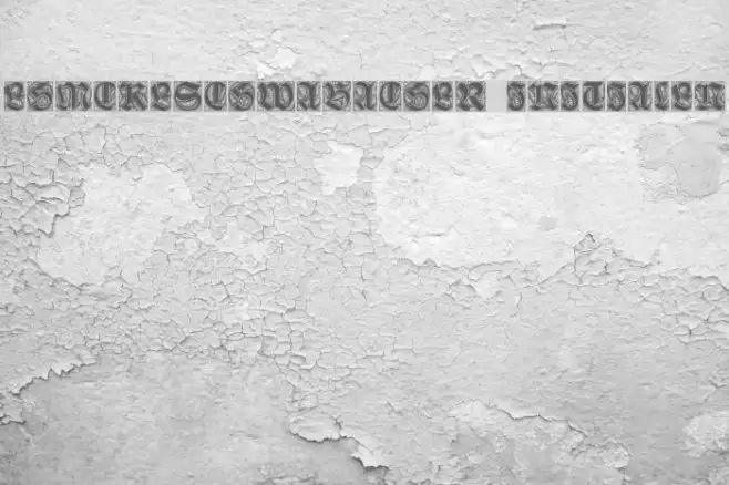 Ehmcke-Schwabacher Initialen Example 2