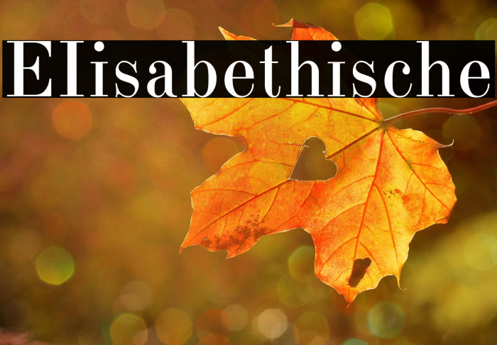 EIisabethische Example 2