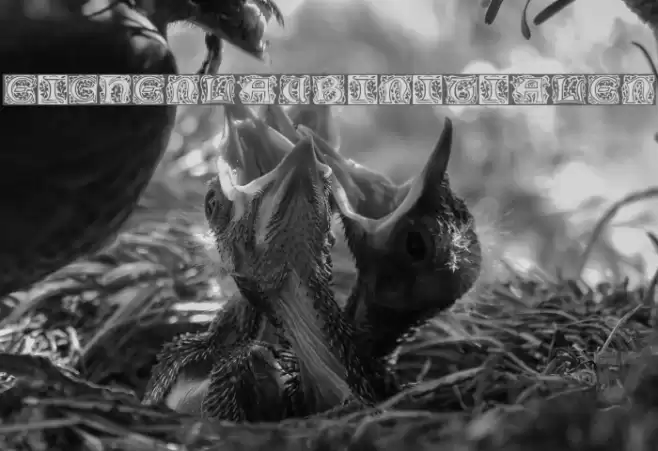 Eichenlaub Initialen Font examples