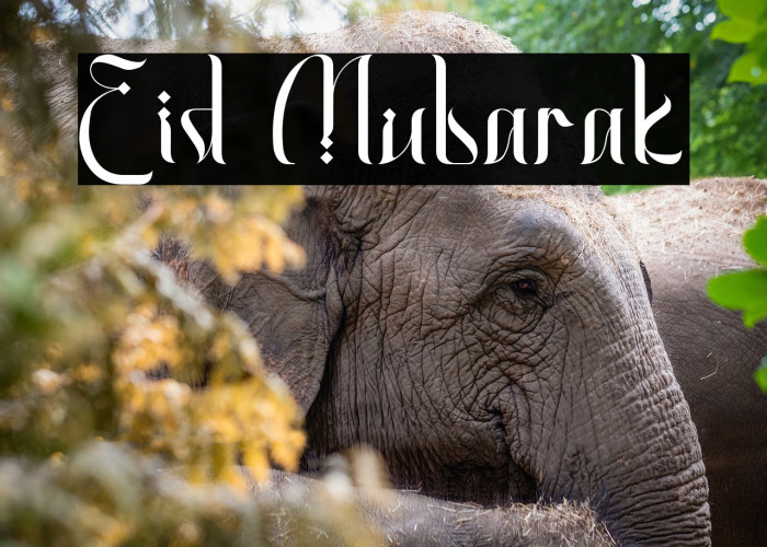 Eid Mubarak Example 3