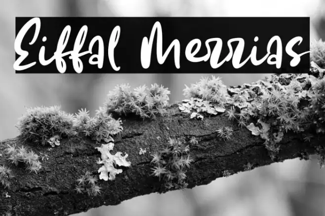 Eiffal Merrias Example 2