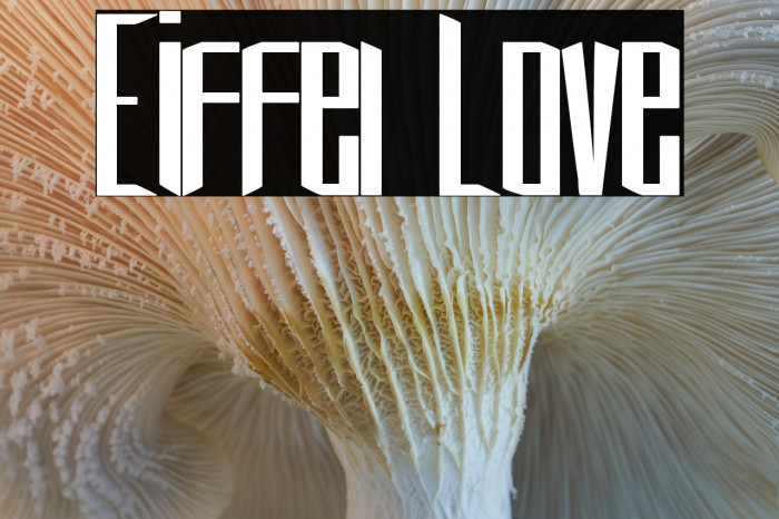 Eiffel Love Example 2