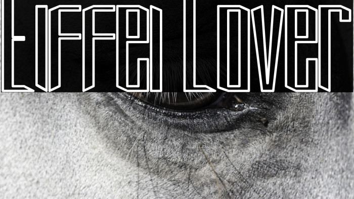 Eiffel Lover Example 3