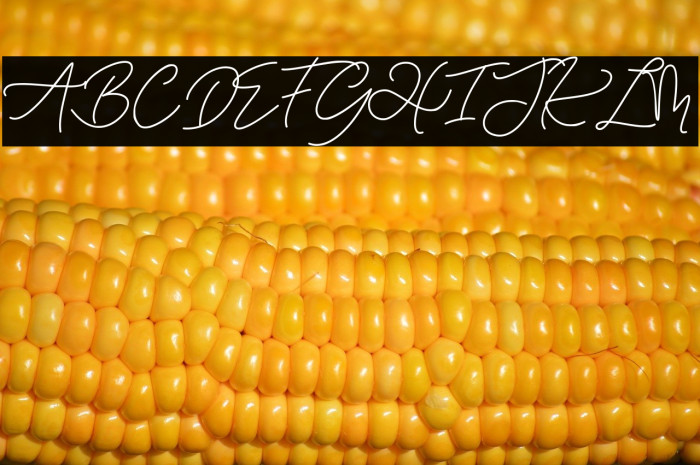 Eiffel in love Example 2