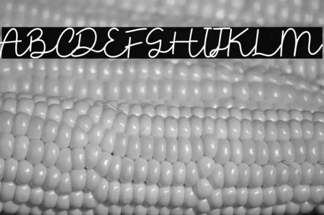 Eigha Demo Font examples