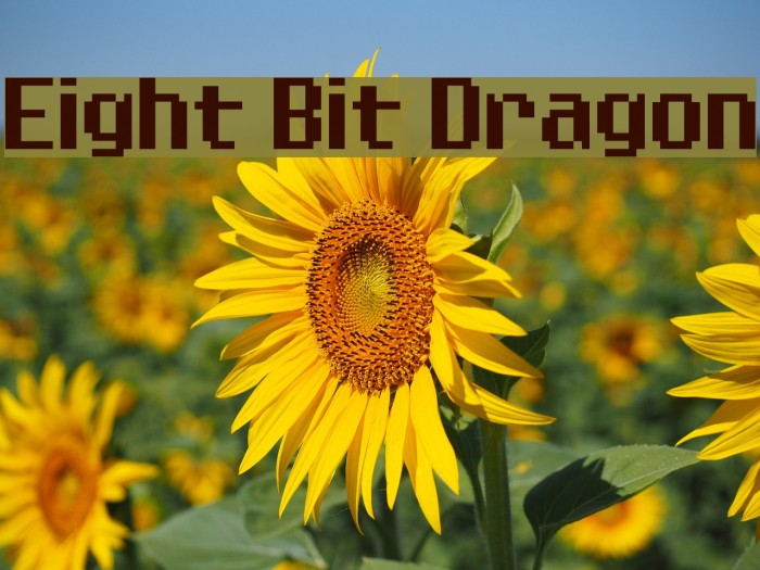 Eight Bit Dragon Font examples