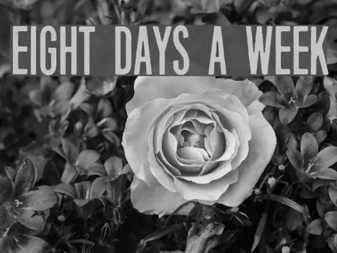 Eight Days A Week Font examples