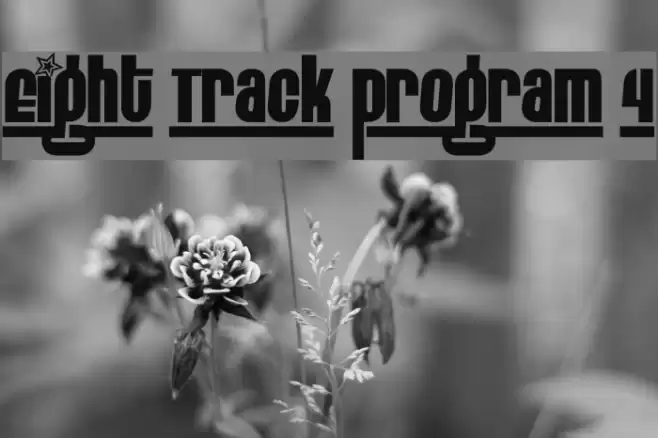Eight Track program 4 Fuentes examples