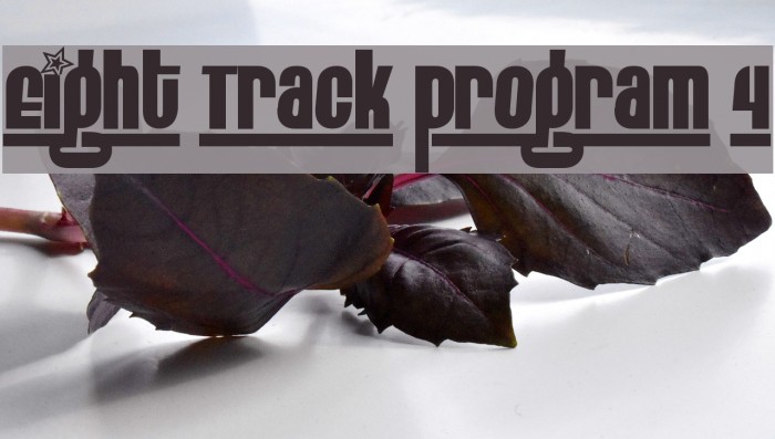 Eight Track program 4 Font examples