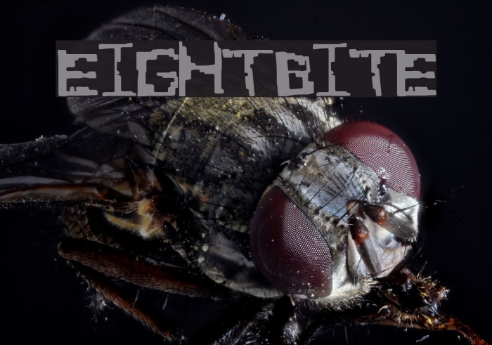 EightBite Font examples