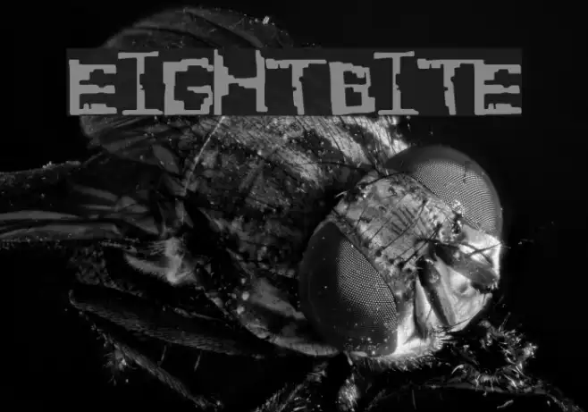 EightBite Example 2