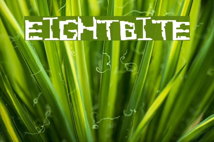 EightBite Font examples