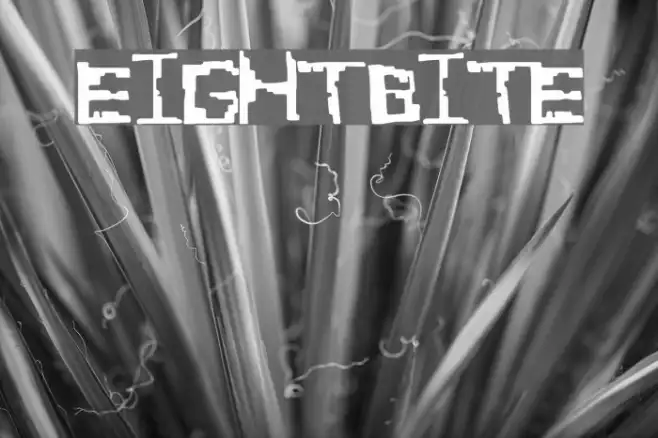 EightBite Example 3