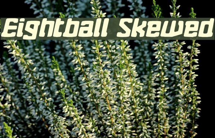 Eightball Skewed Font examples