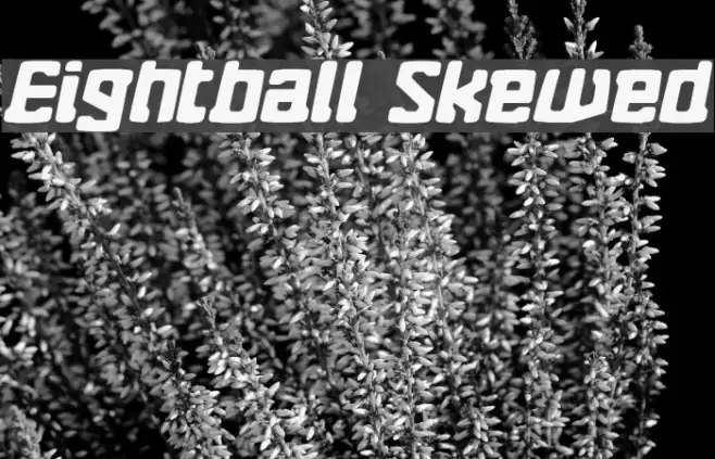 Eightball Skewed Example 1