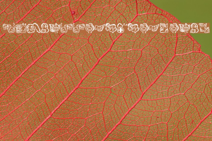 EighteenMayanMonths Font examples