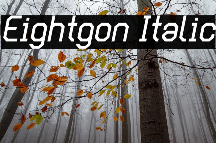 Eightgon Italic Example 1