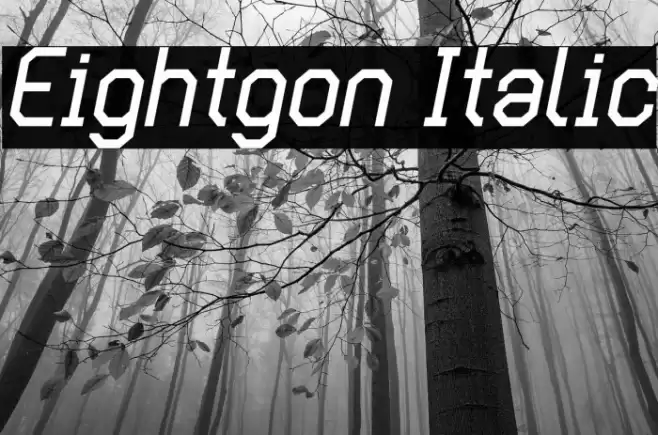 Eightgon Italic Font examples