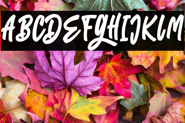 EightiesFREE Example 3