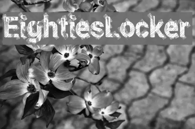 EightiesLocker Example 2