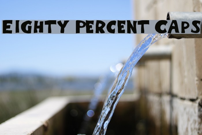Eighty Percent Caps Polices examples