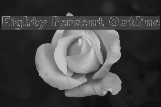 Eighty Percent Outline Example 2