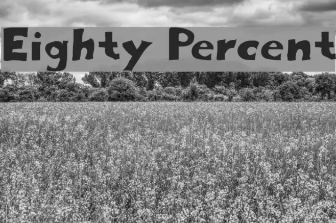 Eighty Percent Font examples
