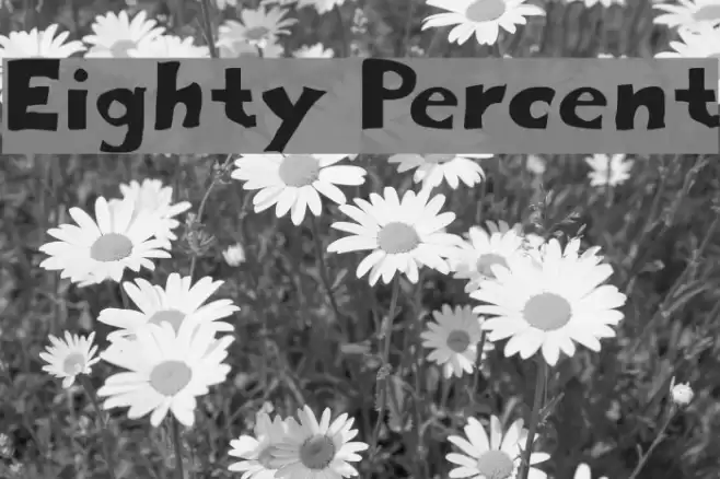 Eighty Percent Font examples