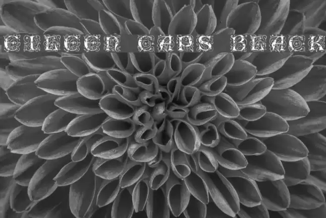 Eileen Caps Black Font examples